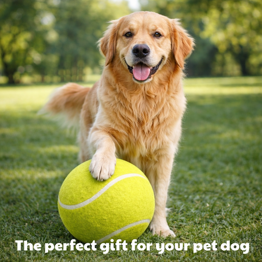 Relievo™ - Dog Tennis Ball – The XL Ball Built for Big, Energetic & Aggressive Chewers